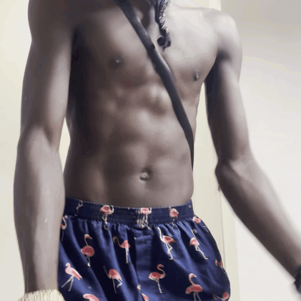 Dichet720 boxers print