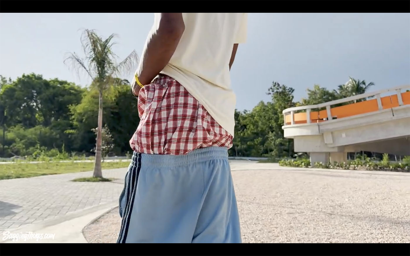 Thugandres adidas sag