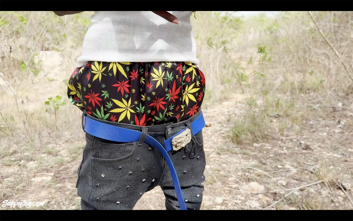 Satin sag - Image 2